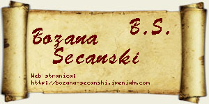 Božana Sečanski vizit kartica